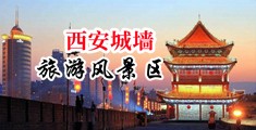 亚洲肏屄中国陕西-西安城墙旅游风景区